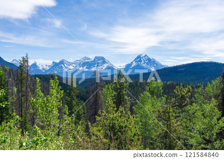 Athabasca Pass Lookout summer landscape in Jasper National Park, Alberta, Canada. Canadian Rockies. Athabasca Pass Lookout summer landscape in Jasper National Park, Alberta, Canada. Canadian Rockies. 121584840