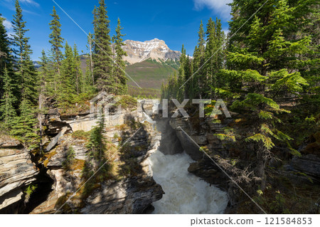 Athabasca Falls in Jasper National Park, Alberta, Canada. Canadian Rockies summer landscape. Mount Kerkeslin in the background. Athabasca Falls in Jasper National Park, Alberta, Canada. Canadian Rockies summer landscape. Mount Kerkeslin in the background. 121584853