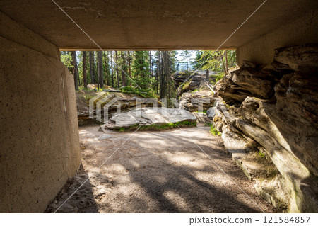 Concrete path leads to a forest with trees and rocks. Athabasca Falls trail, Jasper National Park, Alberta, Canada. Canadian Rockies. Concrete path leads to a forest with trees and rocks. Athabasca Falls trail, Jasper National Park, Alberta, Canada. Canadian Rockies. 121584857