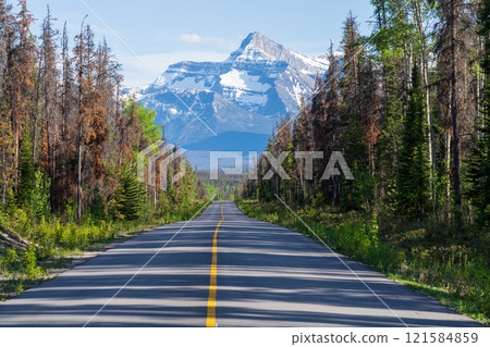 Highway 93A in Jasper National Park, Alberta, Canada. Canadian Rockies summer landscape. Brussels Peak in the background. 121584859