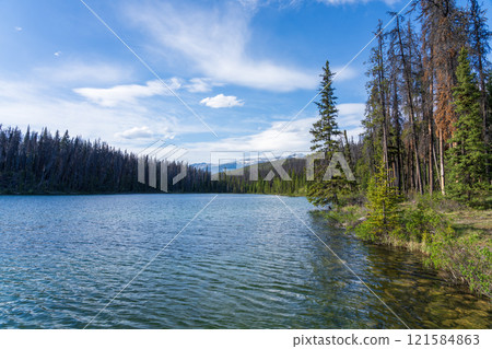 Leach Lake in Jasper National Park. Alberta, Canada. Canadian Rockies summer landscape. 121584863