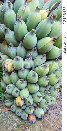 Versatile Banana From Farm to Flavorful Delights Versatile Banana From Farm to Flavorful Delights 121584884