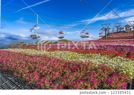 The pair lift and sunpatiens on Chausuyama Plateau against the blue sky (Aichi Prefecture) The pair lift and sunpatiens on Chausuyama Plateau against the blue sky (Aichi Prefecture) 121585431