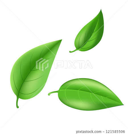 Abstract Green leaves. Eco green concept spring card background for your design. Eps 10 121585506