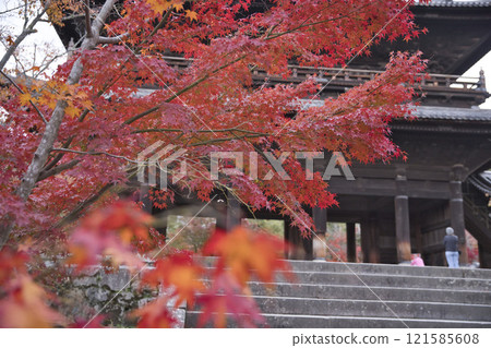 Nanzenji Temple: View of the mountain gate and autumn leaves from the grounds 26 Nanzenji Temple: View of the mountain gate and autumn leaves from the grounds 26 121585608
