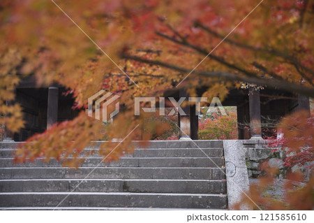 Nanzenji Temple - View of the mountain gate and autumn leaves from the grounds 28 Nanzenji Temple - View of the mountain gate and autumn leaves from the grounds 28 121585610