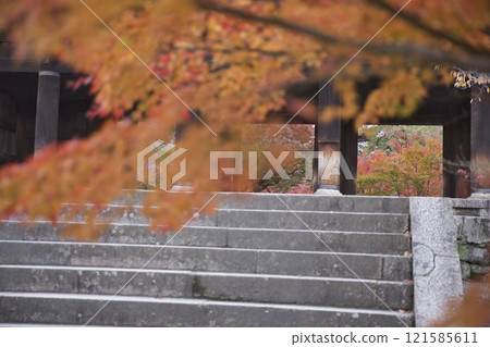 Nanzenji Temple: View of the mountain gate and autumn leaves from the grounds 29 121585611