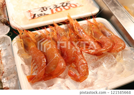 Red shrimp purchased at Shiogama Wholesale Market 121585668