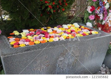 金蛇水神社的洗衣房 121585682