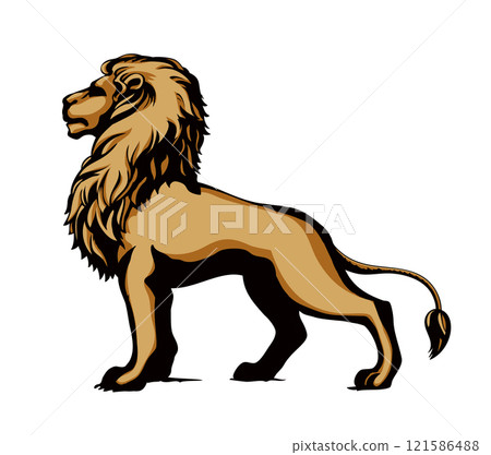 Vector drawing. Lion look for prey Vector drawing. Lion look for prey 121586488