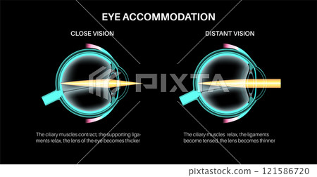 Eye accommodation poster 121586720