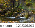 Autumn forest and small waterfall 121586803