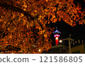 Calgary Tower illuminated at night 121586805