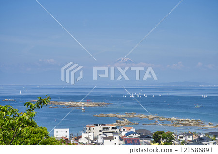[Kanagawa Prefecture] View from Hayama Hydrangea Park 121586891