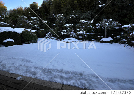 Bundain Garden in winter 121587320