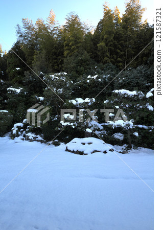 Bundain Garden in winter 121587321