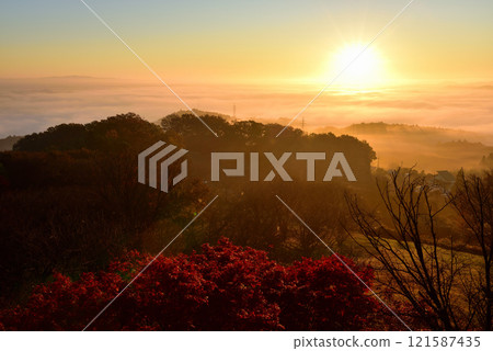 從山王山展望台（塔）眺望日立高原的雲海 121587435