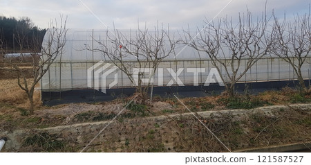 terrace on the lake 121587527