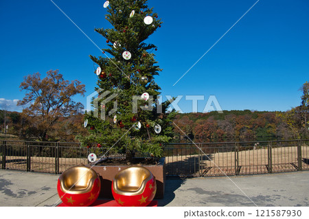 Christmas tree at Metsa Miyazawa Lake in Saitama Prefecture Christmas tree at Metsa Miyazawa Lake in Saitama Prefecture 121587930
