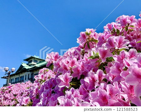 藍天映襯下盛開的茅草與蒲郡經典酒店(蒲郡經典酒店花園/愛知縣蒲郡市) 藍天映襯下盛開的茅草與蒲郡經典酒店(蒲郡經典酒店花園/愛知縣蒲郡市) 121588523