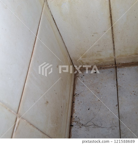 Stains on the walls and floors of the bathroom are a breeding ground for germs. Stains on the walls and floors of the bathroom are a breeding ground for germs. 121588689