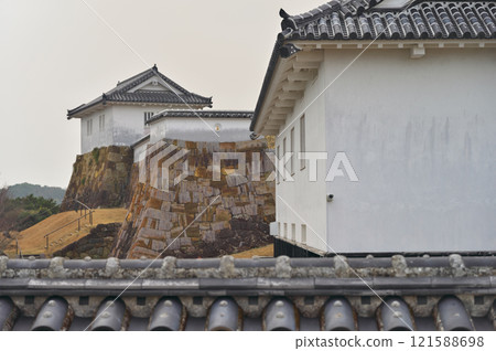 Tomioka Castle Park 121588698