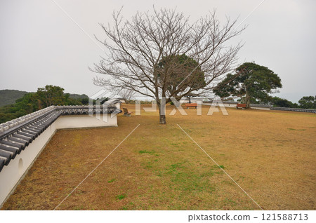 Tomioka Castle Park 121588713