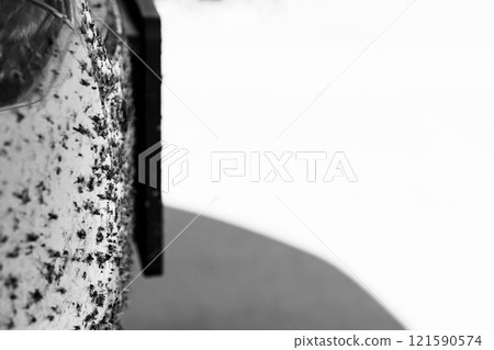 Squished and smeared dead bugs on the front grill of a vehicle.  121590574