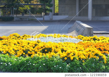 佐賀城公園花壇盛開的花 佐賀城公園花壇盛開的花 121590859