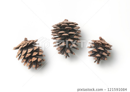 Three pine cones in a row 121591084