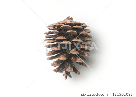Pine cones on white background 121591085