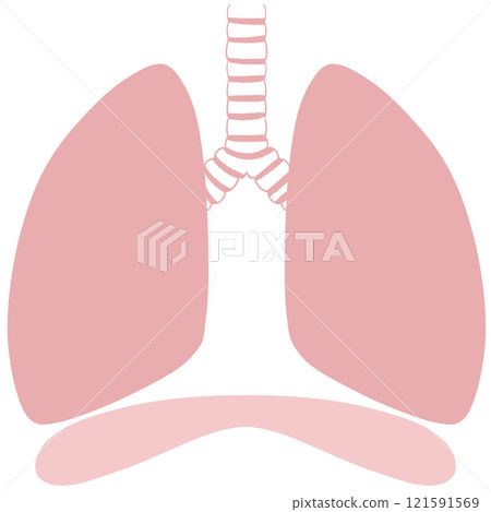 Unhealthy lungs and diaphragm illustration 121591569