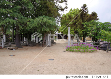 四國八十八寺中的第七十六寺-金倉寺 四國八十八寺中的第七十六寺-金倉寺 121591831