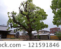 76th of the 88 Shikoku Temples: Konkuraji Temple 121591846