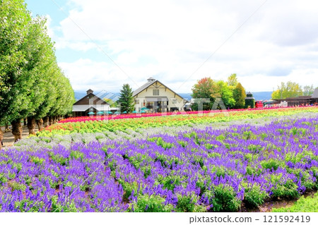 Hokkaido Travelogue Farm Tomita in late September Farm Tomita in autumn 121592419
