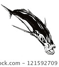 Real horse mackerel in two colors 121592709