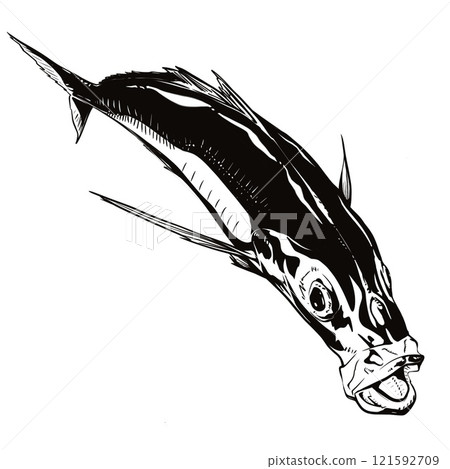 真竹莢魚 2色 121592709