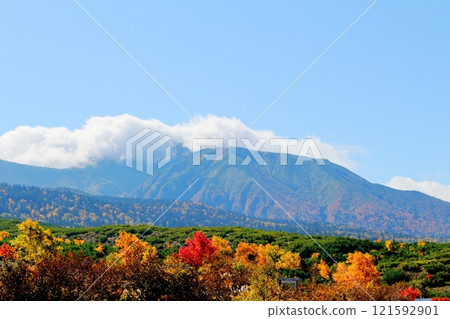 北海道遊記 十勝岳連峰 十月初十勝岳 秋天的十勝岳 秋葉的十勝岳連峰 望岳台 北海道遊記 十勝岳連峰 十月初十勝岳 秋天的十勝岳 秋葉的十勝岳連峰 望岳台 121592901