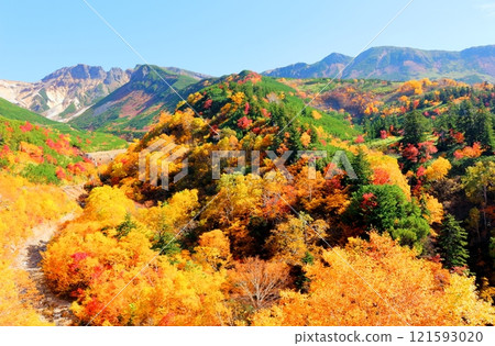 北海道遊記 10月初的十勝岳連峰 秋天的十勝岳 紅葉的十勝岳 從十勝岳溫泉出發的十勝岳連峰 121593020