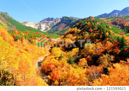 北海道遊記 10月初的十勝岳連峰 秋天的十勝岳 紅葉的十勝岳 從十勝岳溫泉出發的十勝岳連峰 121593021