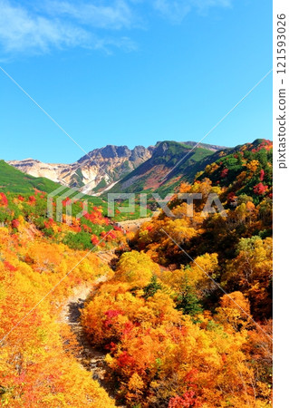 北海道遊記 10月初的十勝岳連峰 秋天的十勝岳 紅葉的十勝岳 從十勝岳溫泉出發的十勝岳連峰 121593026