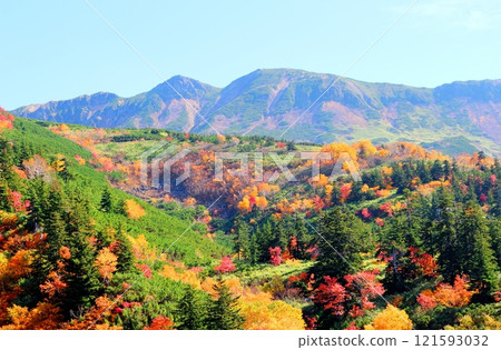 北海道遊記 10月初的十勝岳連峰 秋天的十勝岳 紅葉的十勝岳 從十勝岳溫泉出發的十勝岳連峰 121593032