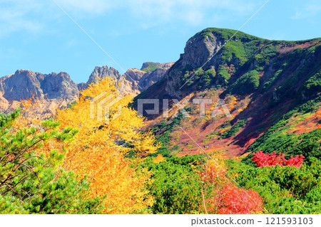 北海道遊記 10月初的十勝岳連峰 秋天的十勝岳 紅葉的十勝岳 從十勝岳溫泉出發的十勝岳連峰 121593103