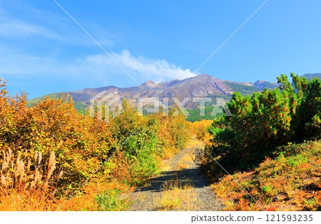 北海道遊記 十勝岳連峰 十月初十勝岳 秋天的十勝岳 秋葉的十勝岳連峰 望岳台 121593235