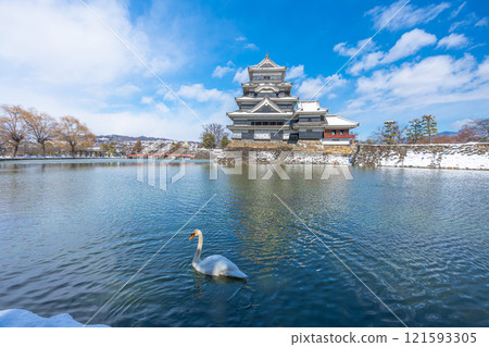 Matsumoto Castle and swans in winter, Matsumoto City, Nagano Prefecture Matsumoto Castle and swans in winter, Matsumoto City, Nagano Prefecture 121593305