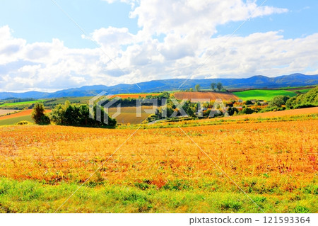 北海道遊記 9月下旬的美瑛風景 烏內裡農場的風景 美瑛秋天的風景 北海道遊記 9月下旬的美瑛風景 烏內裡農場的風景 美瑛秋天的風景 121593364