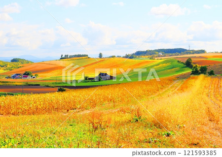 北海道遊記 9月下旬的美瑛風景 烏內裡農場的風景 美瑛秋天的風景 121593385
