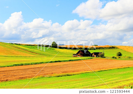 北海道遊記 9月下旬的美瑛風景 烏內裡農場的風景 美瑛秋天的風景 北海道遊記 9月下旬的美瑛風景 烏內裡農場的風景 美瑛秋天的風景 121593444