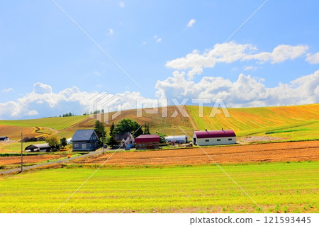 北海道遊記 9月下旬的美瑛風景 烏內裡農場的風景 美瑛秋天的風景 北海道遊記 9月下旬的美瑛風景 烏內裡農場的風景 美瑛秋天的風景 121593445