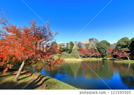 [東京] 陽光明媚的日子，小石川後樂園的對稱秋葉 121593503